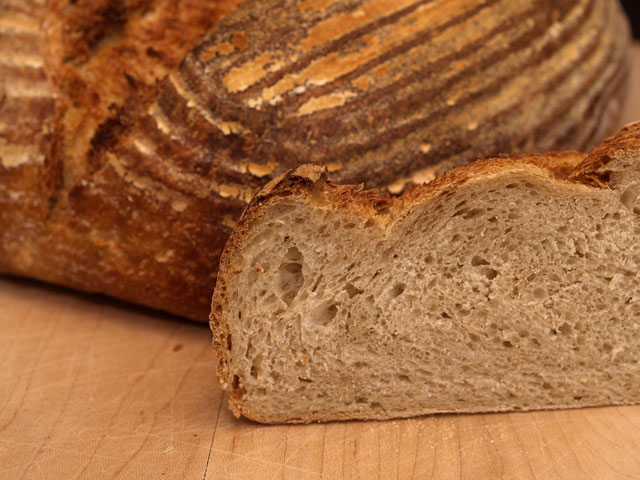 Straight Sourdough Crumb Shot