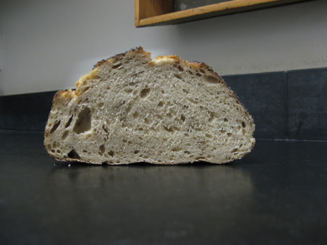 Back Home Bakery Sour Rye crumb